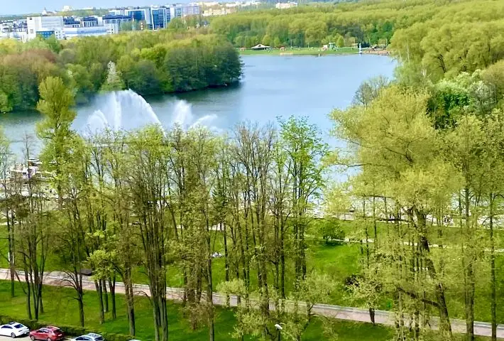 Минск, проспект Победителей, 53к1, 2 комн.