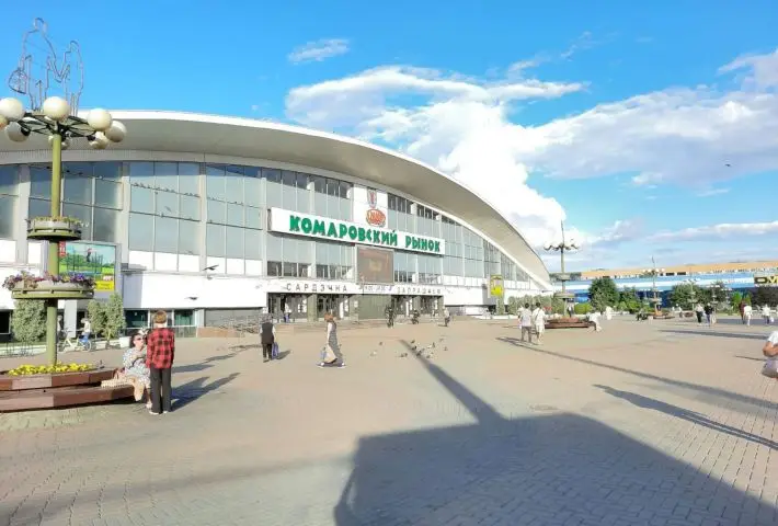 Минск, улица Веры Хоружей, 18к1, 1 комн.